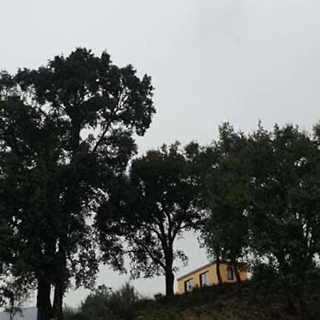 Refugio Do Sobreiro Βίλα Cabeceiras de Basto Εξωτερικό φωτογραφία