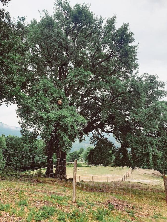 Refugio Do Sobreiro Βίλα Cabeceiras de Basto Εξωτερικό φωτογραφία